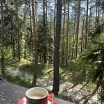 Chamkoria Forest View & Boroveț