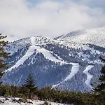 Apartament Chamkoria Forest View & *