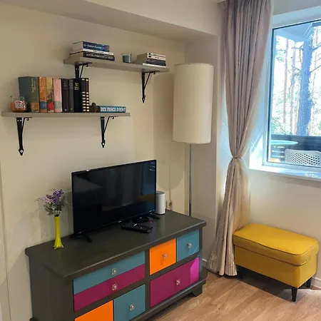 Chamkoria Forest View & *