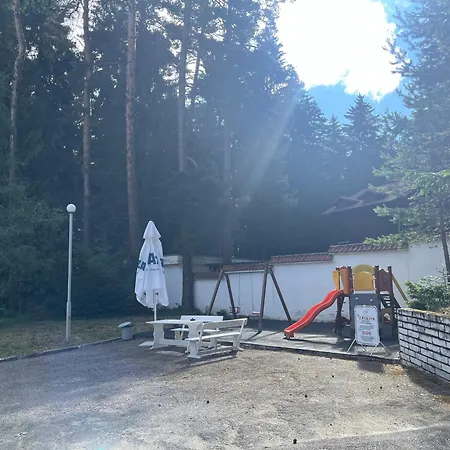 Chamkoria Forest View &