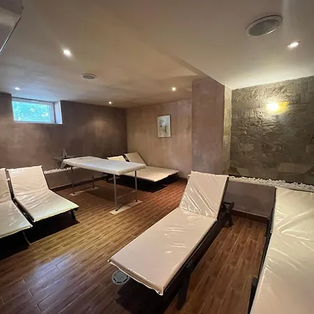 Chamkoria Forest View & *