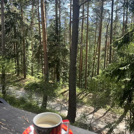 Chamkoria Forest View & Μπόροβετς
