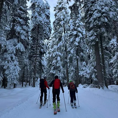 Апартамент Chamkoria Forest View & *
