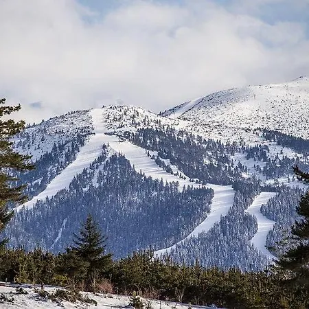 Διαμέρισμα Chamkoria Forest View & *