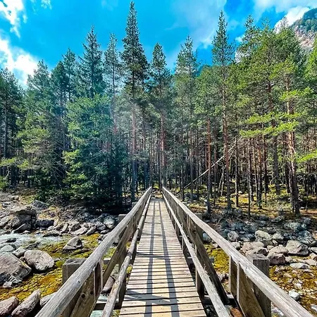 Апартамент Chamkoria Forest View &