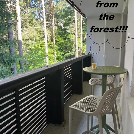 Chamkoria Forest View & Апартамент Боровец