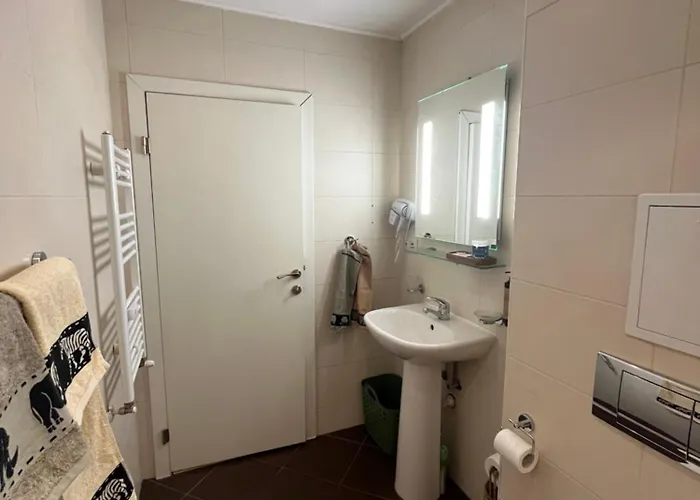 Chamkoria Forest View & ボロヴェッツ