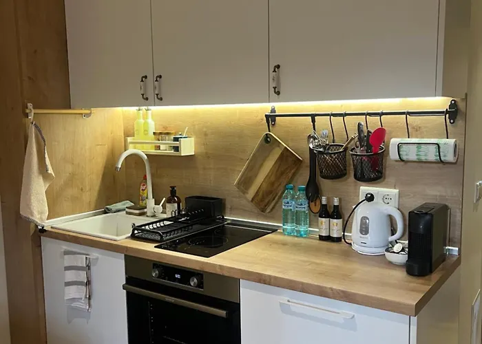 Chamkoria Forest View & * ボロヴェッツ